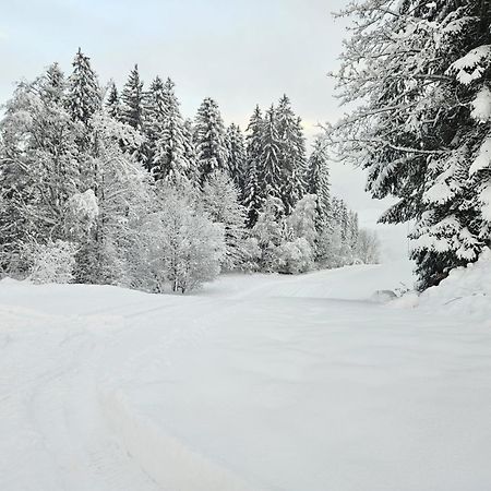 Alpen Studio Ellmau II Eksteriør bilde