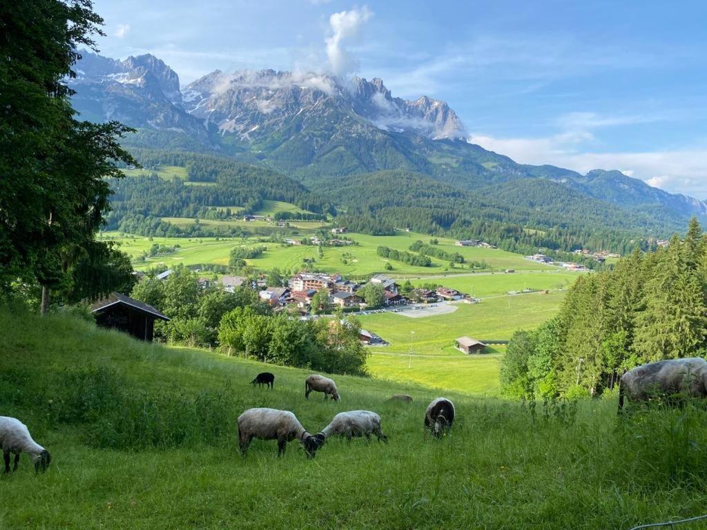 Alpen Studio Ellmau II Eksteriør bilde