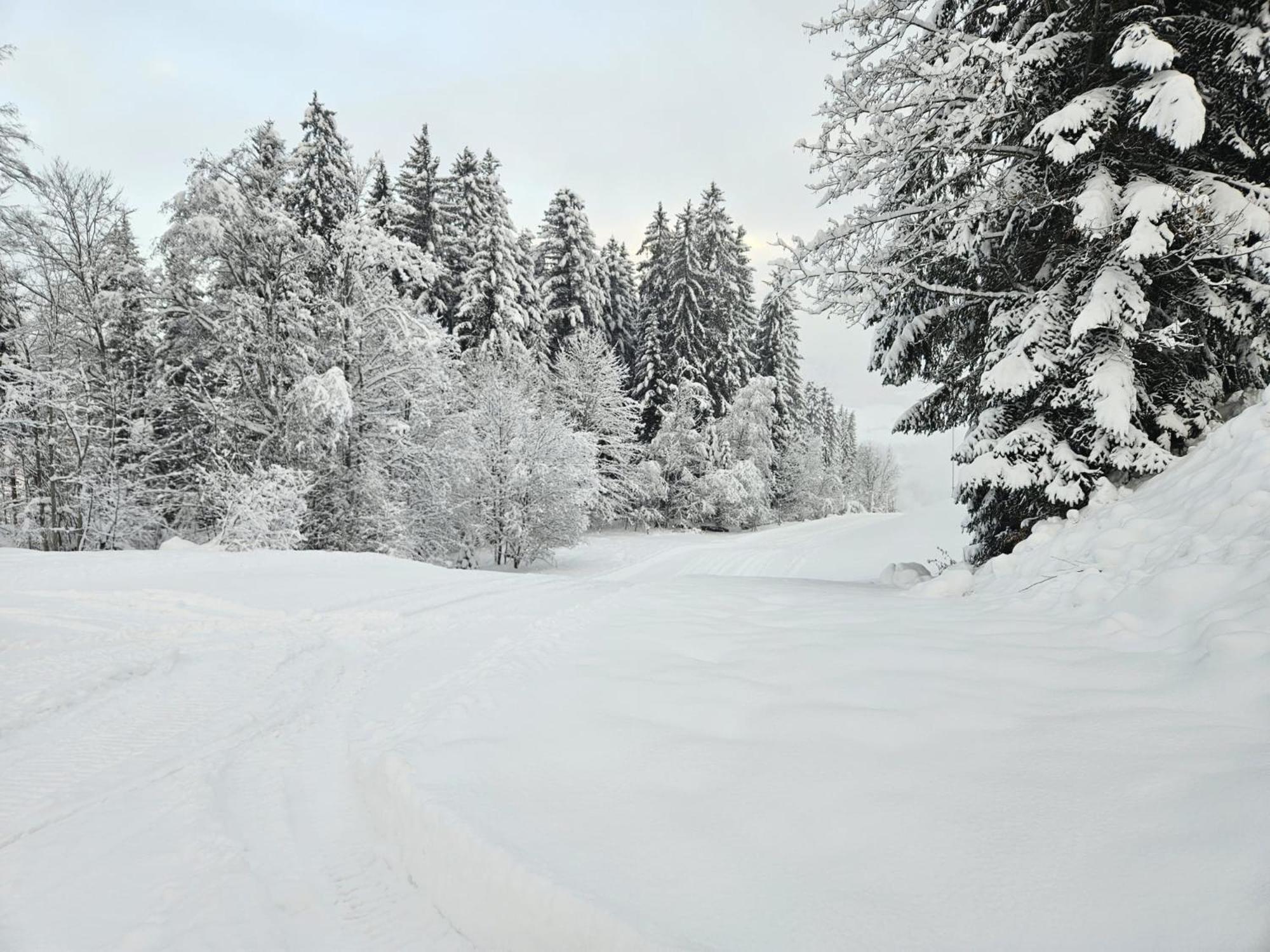 Alpen Studio Ellmau II Eksteriør bilde